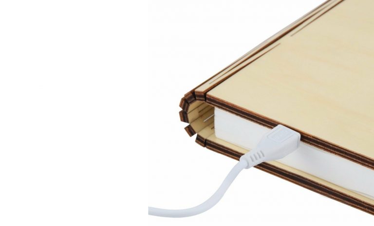 Smart Book Light (Natural Wood)