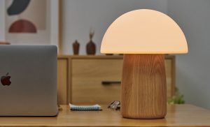 Alice Mushroom Lamp - Large White Ash