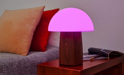Alice Mushroom Lamp