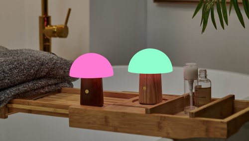 Alice Mushroom Lamp