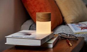 Lemelia Light - Large Walnut