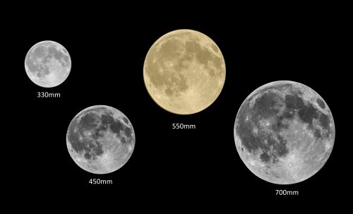 The Everyone's Moon